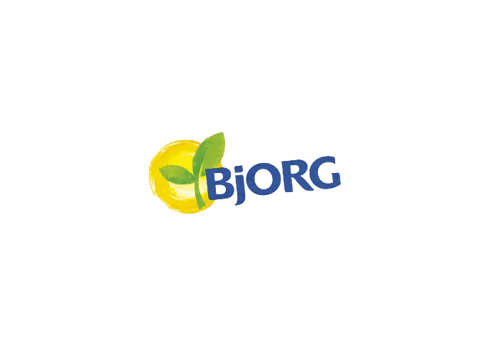 BFA sponsor partner logo
