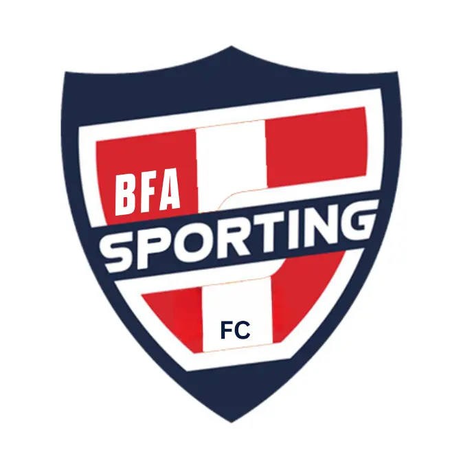 BFA Lebanon sponsor partner logo
